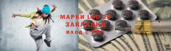 ПСИЛОЦИБИНОВЫЕ ГРИБЫ Михайлов