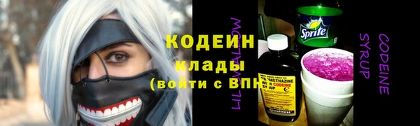 ПСИЛОЦИБИНОВЫЕ ГРИБЫ Михайлов