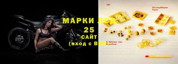 ПСИЛОЦИБИНОВЫЕ ГРИБЫ Михайлов
