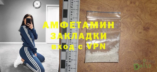 ПСИЛОЦИБИНОВЫЕ ГРИБЫ Михайлов