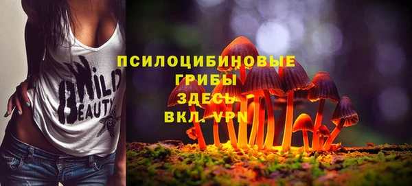 меф Мегион