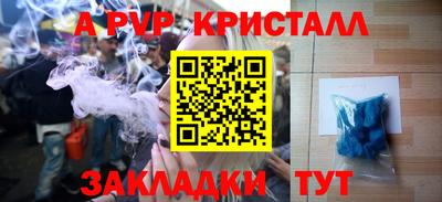 стафф Донской
