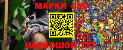 стафф Донской