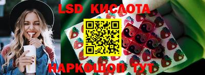 стафф Донской