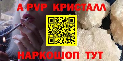 стафф Донской