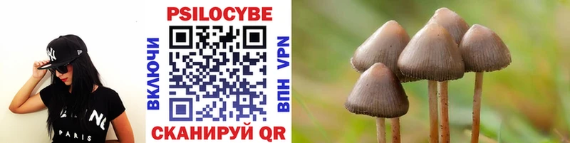 Псилоцибиновые грибы GOLDEN TEACHER  наркота  Якутск 